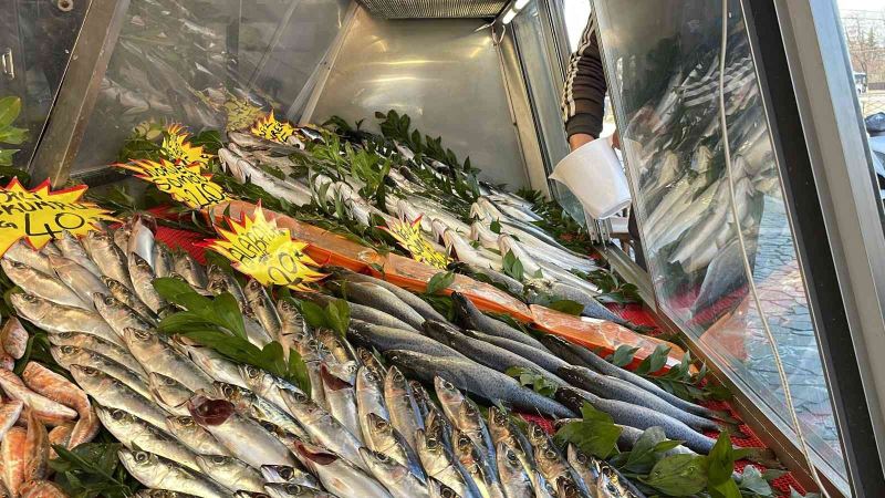 Karadeniz’deki avcılık yasağının fiyatlara yansıması bekleniyor
