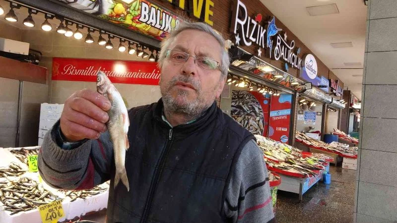 Trabzon’da tezgâhları farklı illerden gelen balıklar süslüyor
