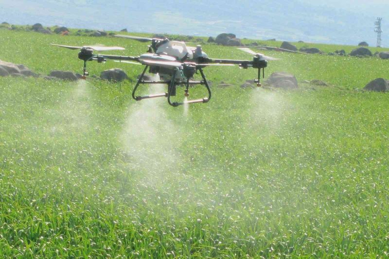 Araban’da sarımsak tarlaları dronla ilaçlandı
