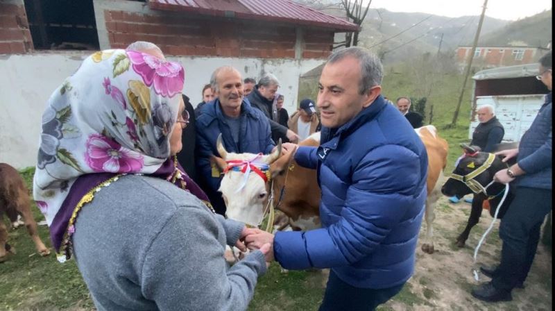 Heyelanda hayvanlarını kaybeden aileye Vali Sonel’den yeni hayvan desteği
