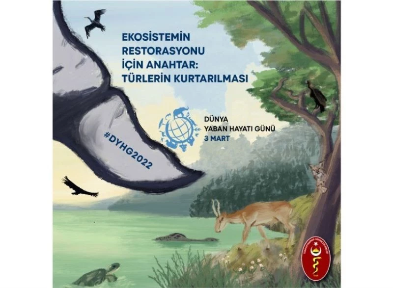 Türk Veteriner Hekimleri Birliği: “Yaban hayatından taraf olmazsak bertaraf olacağız”
