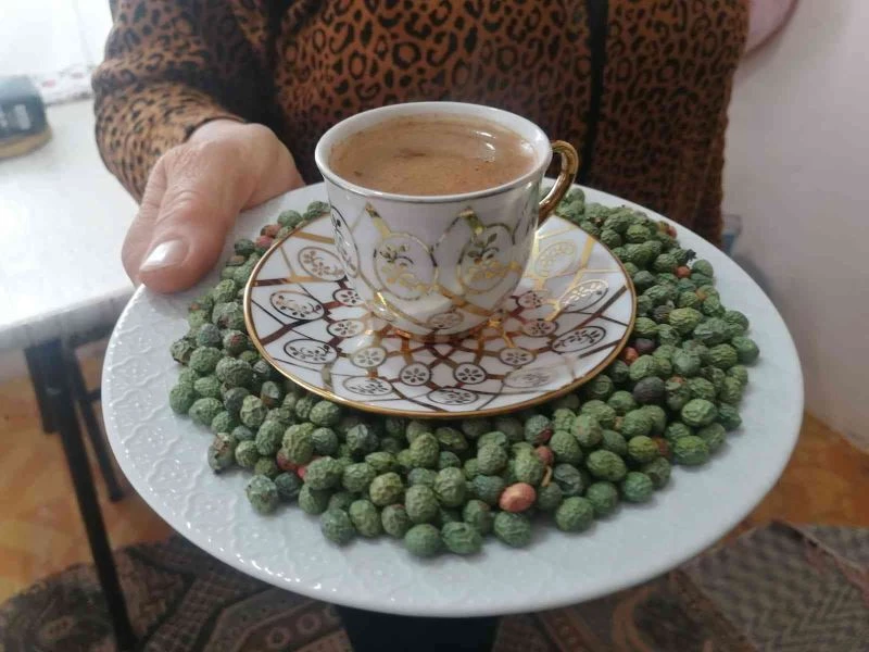 Elazığ’da ‘Çedene kahvesinin’ tescillenmesi üreticiyi sevindirdi
