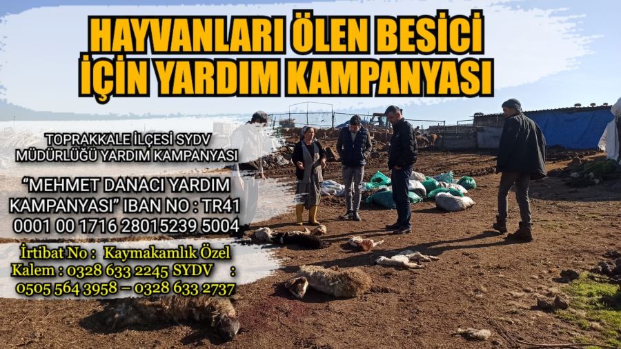 Hayvanları telef olan besici için kaymakamlıktan yardım kampanyası