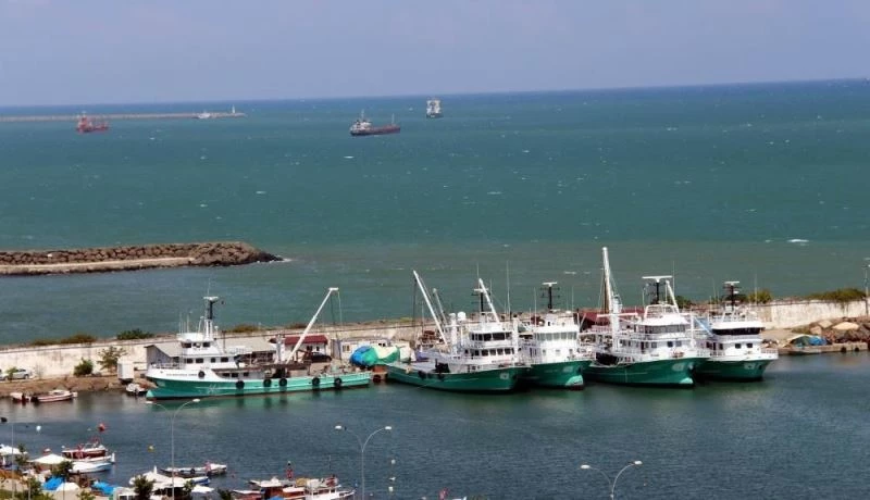 Mayın sıkıntısı yaşanmayan Samsun’da balıkçılar çaça avına başladı
