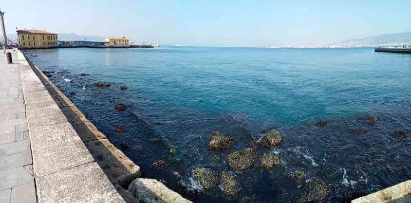 İzmir Körfezi’nde su seviyesi 80 santimetre düştü, deniz ulaşımı aksadı
