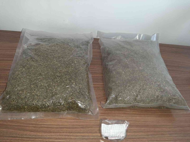 Jandarmadan uyuşturucu operasyonu: 2 kiloya yakın bonzai ele geçirildi
