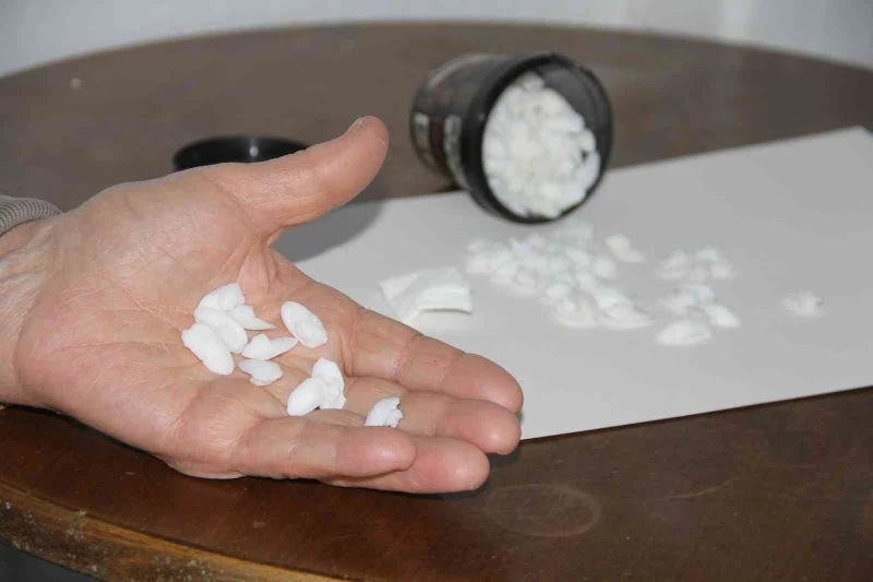 Balık taşı böbrek hastalarının ilgi odağı
