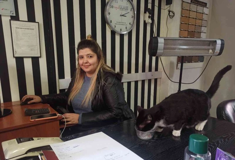 Kapısına gelen patili misafirleri geri çevirmiyor
