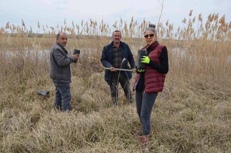 Kuluçkaya yatan kuşlar için çalışma yaptılar
