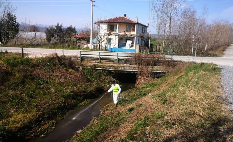 Bafra Belediyesi’nden sivrisineklere karşı larva mücadelesi
