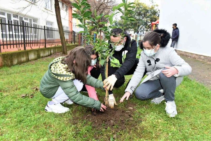 Altınordu’da fidanlar toprakla buluşturuluyor
