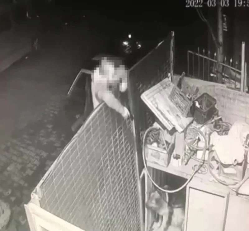 Köpeğe önce ateş etti, sonra değnek fırlatarak eziyet etti
