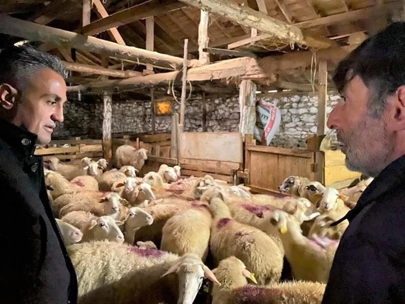 İl Müdürü Yoldaş hayvan işletmelerini ziyaret etti
