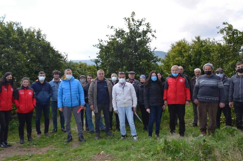 Köyceğiz’de üreticilere turunçgil yetiştiriciliği eğitimi verildi

