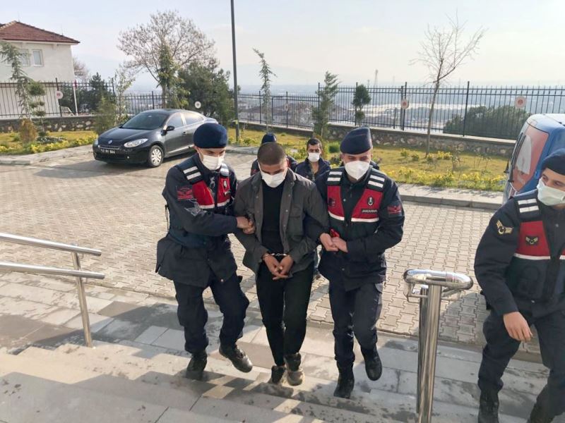 Bursa’da 4 kamyonet zeytin fidanını çaldılar, jandarmadan kaçamadılar
