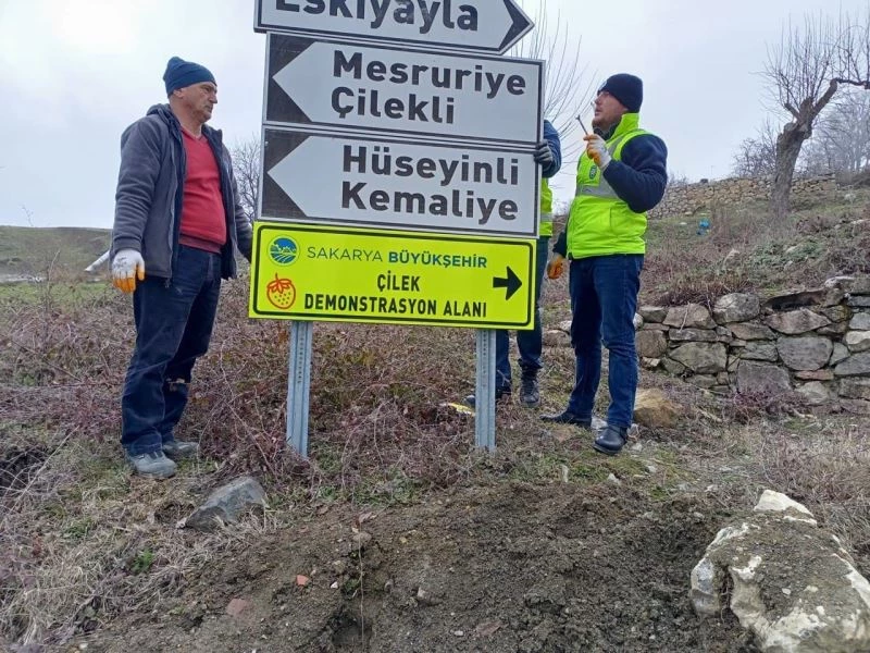 Sakarya’da güzergah ve yön gösteren tabelalar yenileniyor
