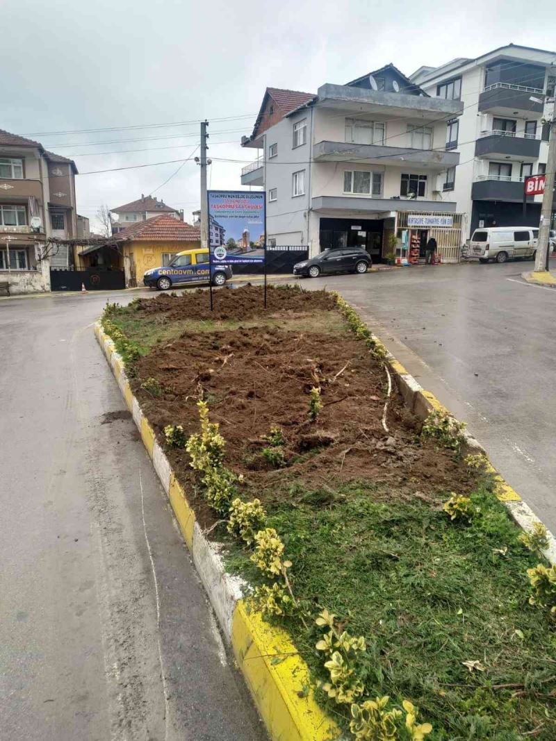 Yalova Taşköprü’de saat kulesi için ağaç kesilmesine tepki
