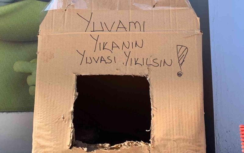 Kedi yuvasını tekrar yıkmasınlar diye bu çözümü buldular
