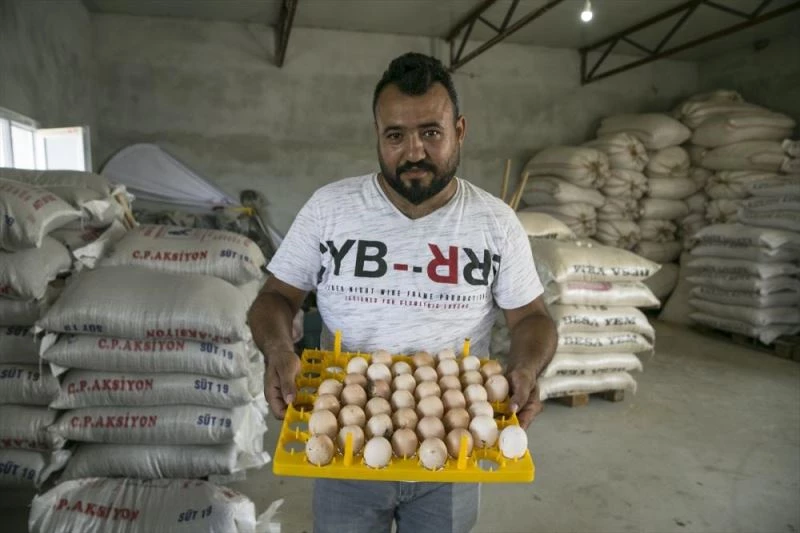 Süs tavuğu hobisini çiftlik kurarak kazanca dönüştürdü