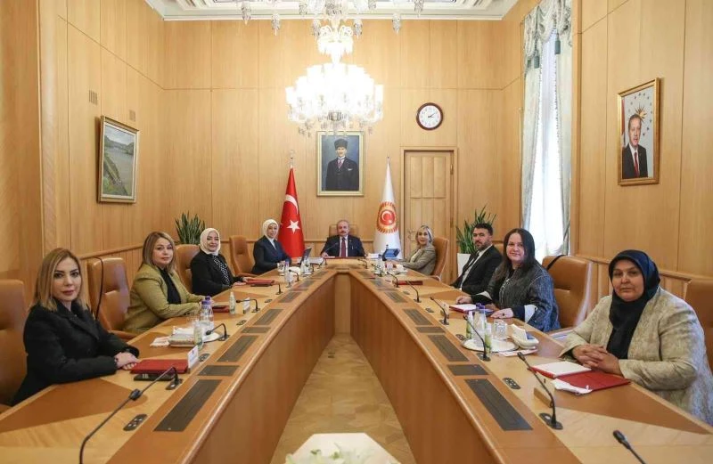 TBMM Başkanı Şentop, Kadına Yönelik Şiddeti Araştırma Komisyonu üyelerini kabul etti
