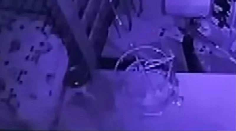 SMA hastası bebeğin kumbarasını çaldılar
