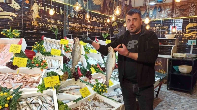 Siirtli balıkçılar balığa ilgiden memnun
