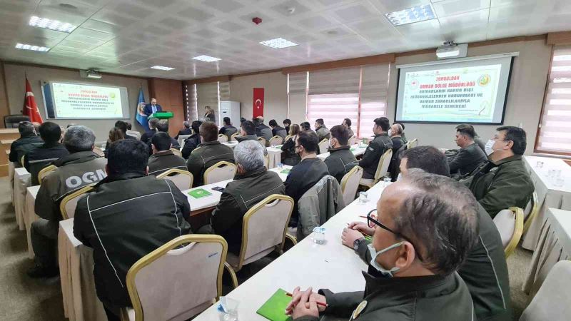 Kanun dışı müdahaleler ormanların tahribine yol açıyor
