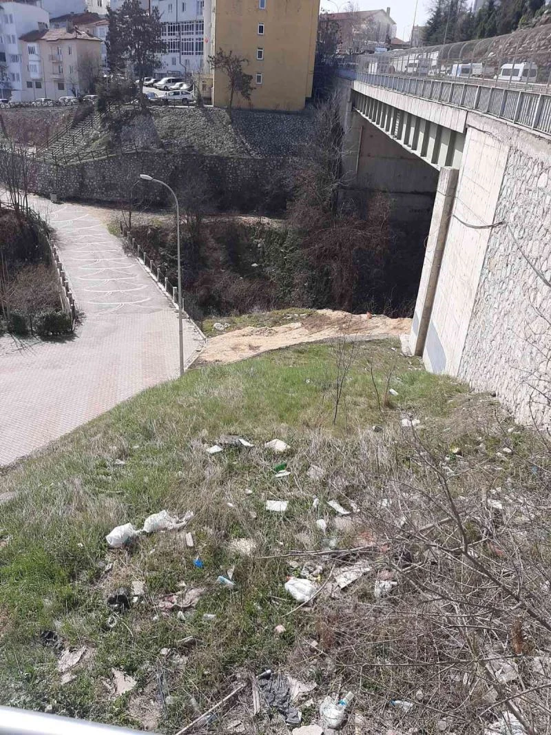 Hamsu köprüsünün altı pislikten geçilmiyor
