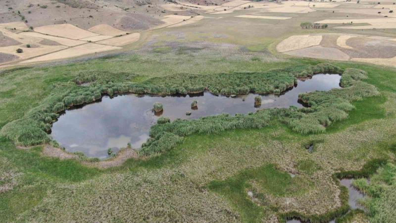 Habitat harikası göl, maden ocağı tehdidi altında
