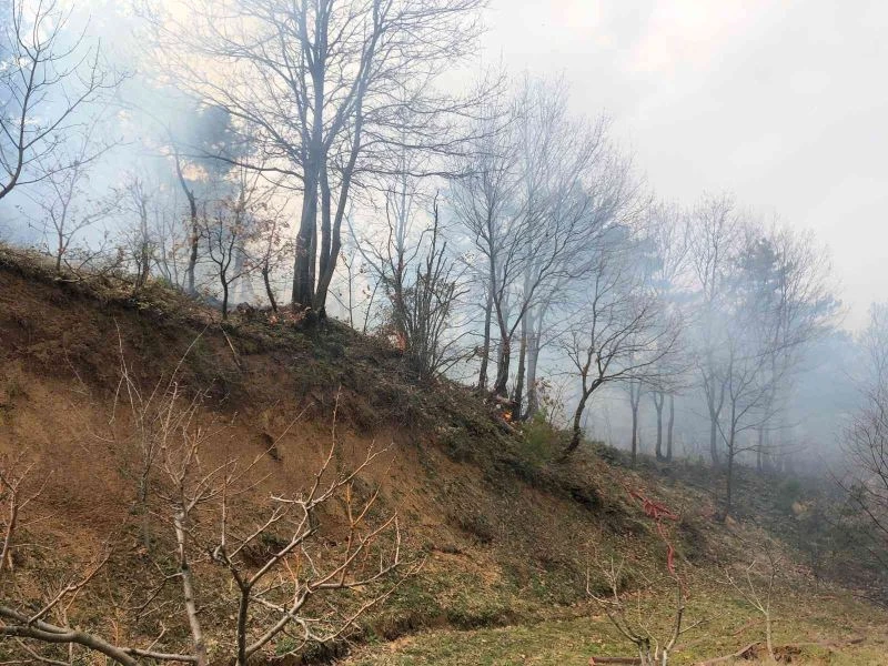 Bursa Dağyenice’de orman yangını
