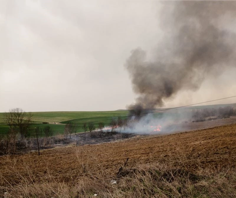 Tarla yangını hızlı müdahaleyle büyümeden söndürüldü
