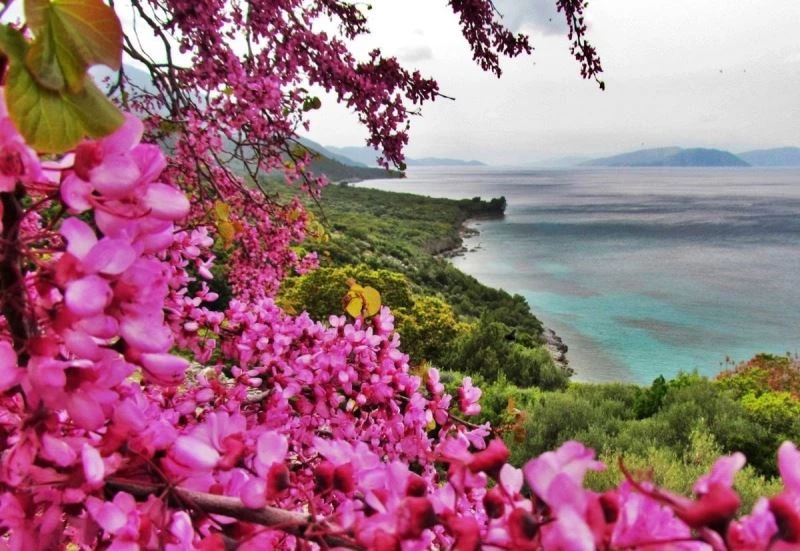 Milli Park’ta yangın tehdidine karşı ortak bildiri
