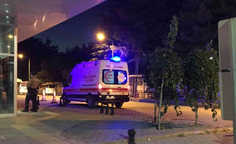 Otomobilin çarptığı at telef oldu, üzerindeki binici yaralandı
