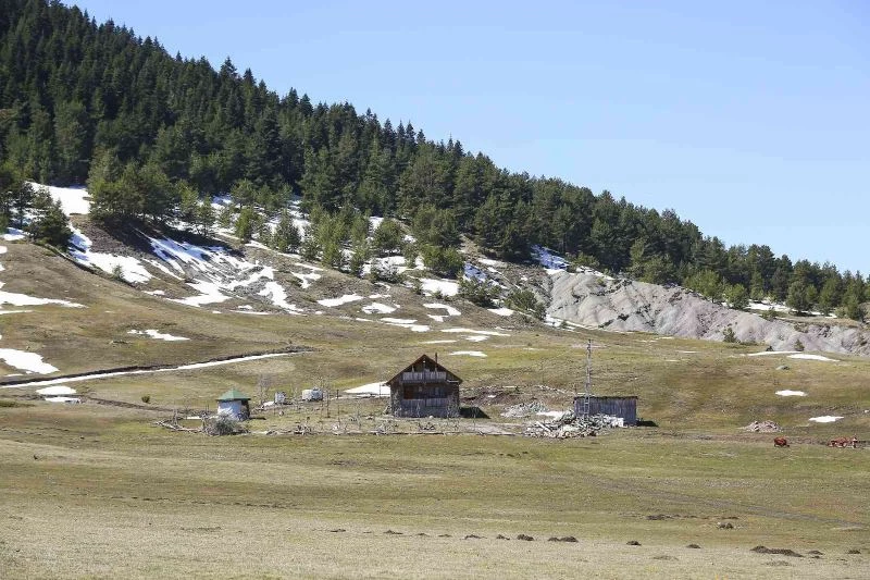 Başkent’in Karadeniz’i kıskandıran yaylaları havadan görüntülendi
