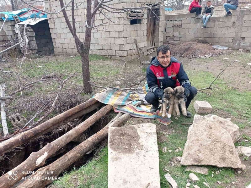 13 metre derinlikteki çukura düşen yavru köpekler itfaiye tarafından kurtarıldı
