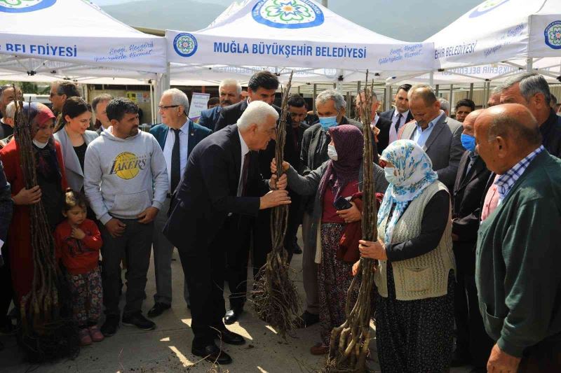 Başkan Gürün, Fethiye’deki kırsal kalkınma projelerini inceledi
