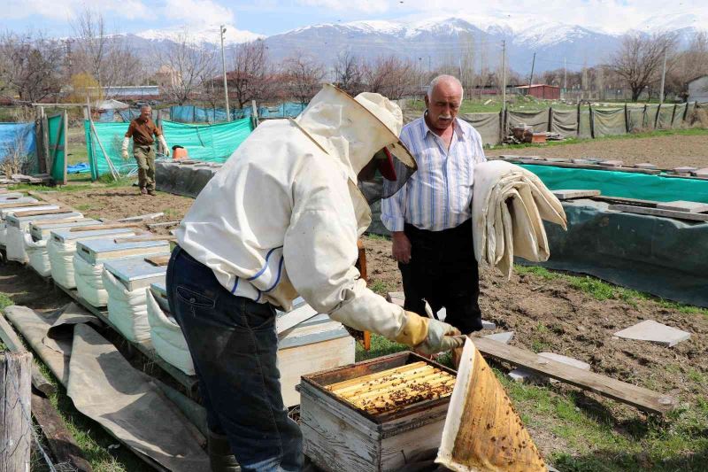 Bal arıları özgürlüğüne kavuştu
