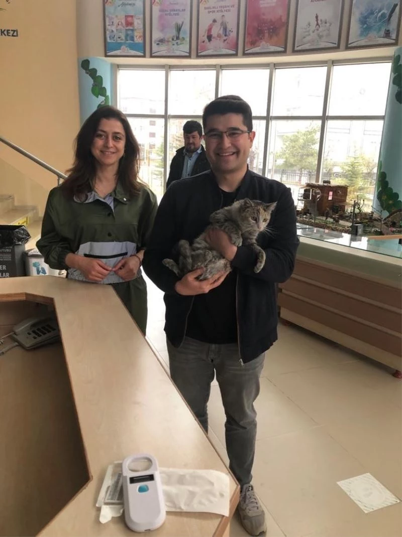 Doğumu yarım kalan sokak kedisinin hayatı sezaryenle kurtarıldı
