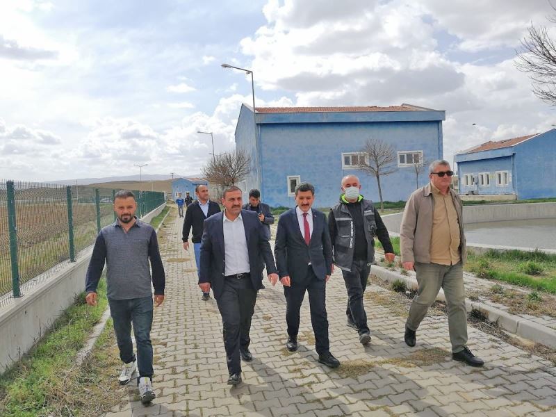 Çiçekdağı ve Yerköy’de sokak hayvanları için ’Geçici Barınak ve Ünite’
