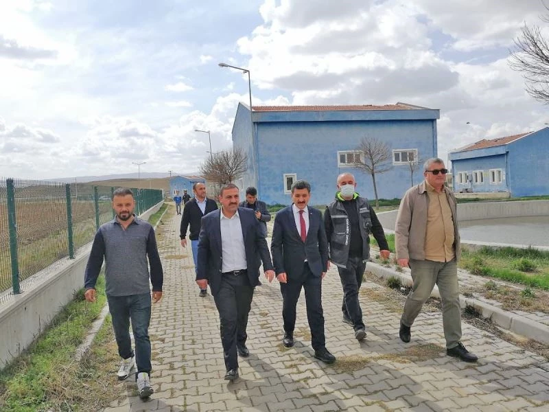 Çiçekdağı ve Yerköy’de sokak hayvanları için ’Geçici Barınak ve Ünite’
