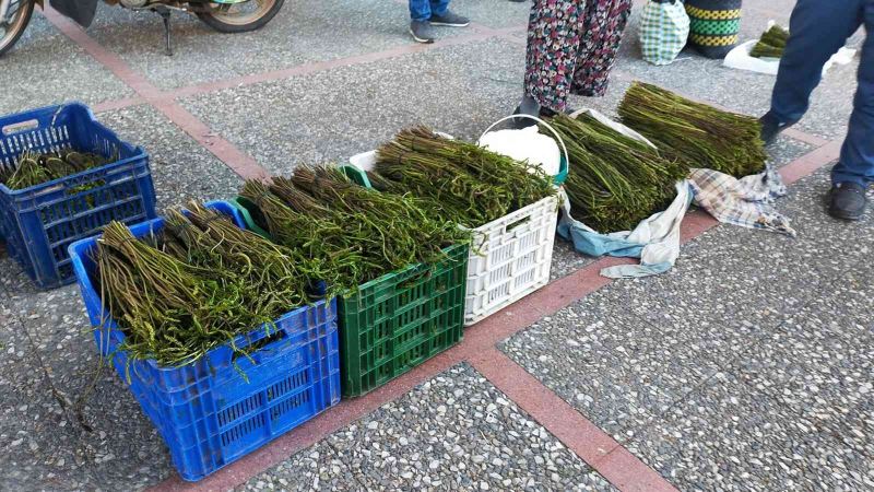 Aydın’da Sarmaşık otu yok satıyor
