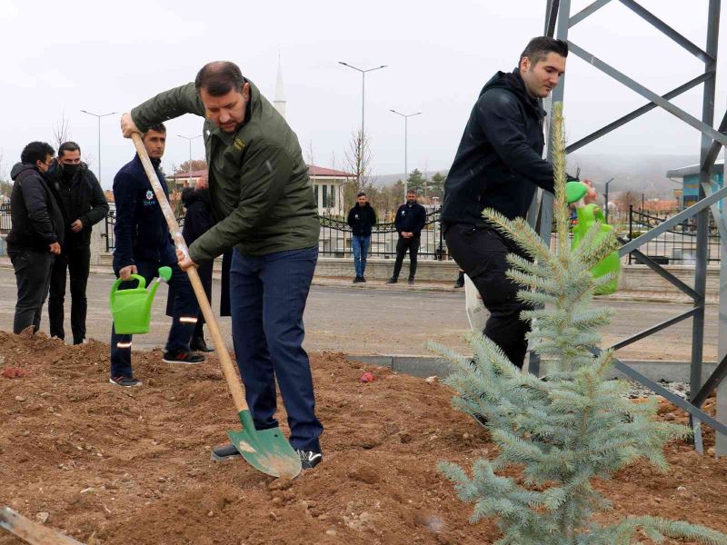 Hamidiye 350 fidanla taçlandı
