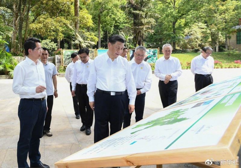 Çin Devlet Başkanı Jinping, Hainan Tropikal Yağmur Ormanları Ulusal Parkı’nı ziyaret etti
