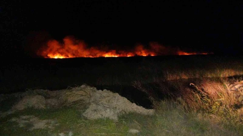 Göksu Deltası’nda yangın
