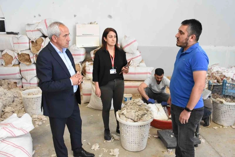 Mantar Yetiştirme Kursu, Tarsuslulara yeni iş kapısı oldu
