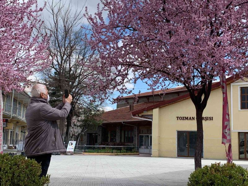 Erik ağaçlarının pembe çiçekleri Eskişehir’i süsledi
