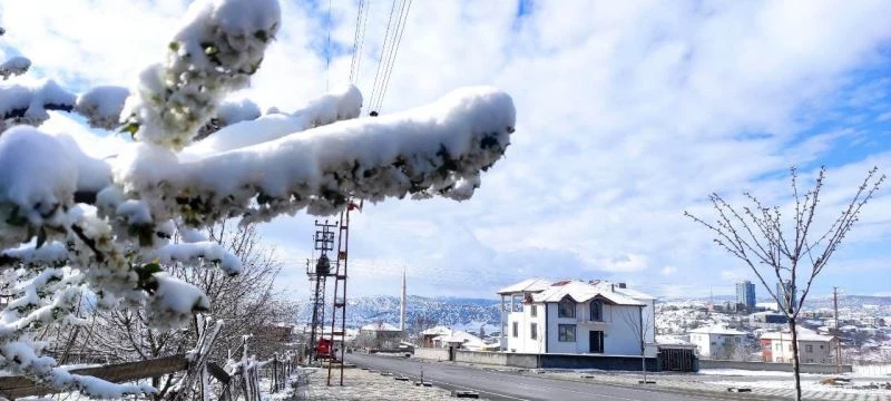 Yozgat’ta Nisan karı çiçek açan dalları karla kapladı
