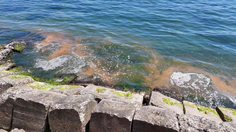Plankton patlaması başladı: Marmara Denizinin Tekirdağ kıyıları turuncuya büründü
