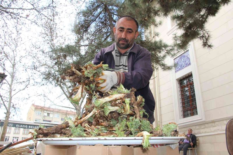 Elazığ’da ’Çiriş’ ve ’Kenger’ otu, tezgahlardaki yerini aldı
