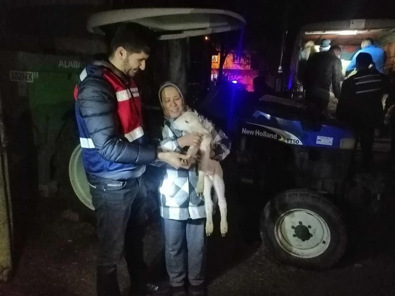 Balya’dan çalınan koyunlar Kepsut’ta ele geçirildi
